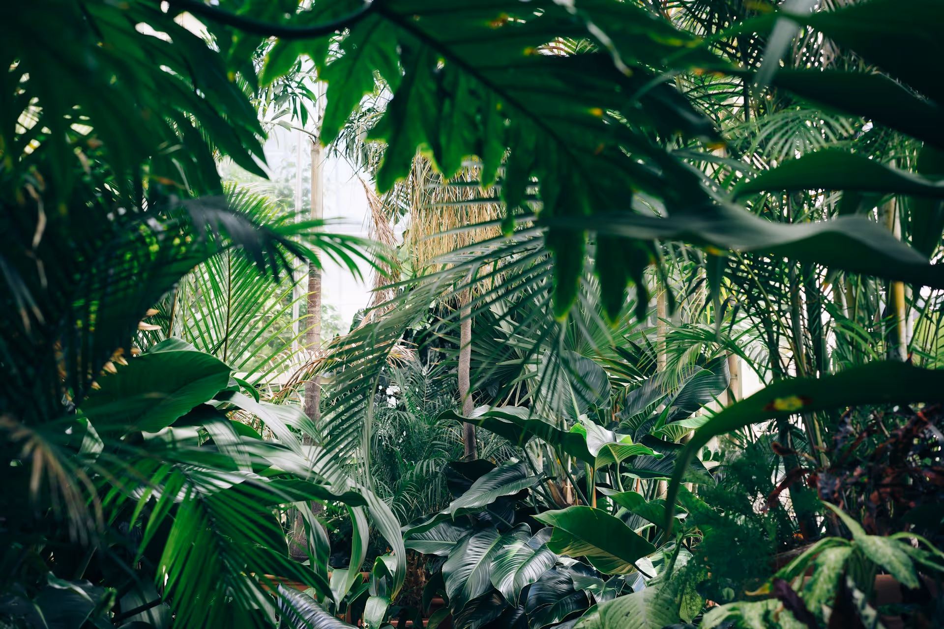 Jardin fleuri et verdoyant — VertiPro Nantes
