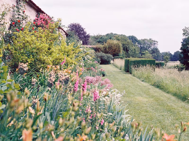 Massifs fleuris dans un jardin nantais