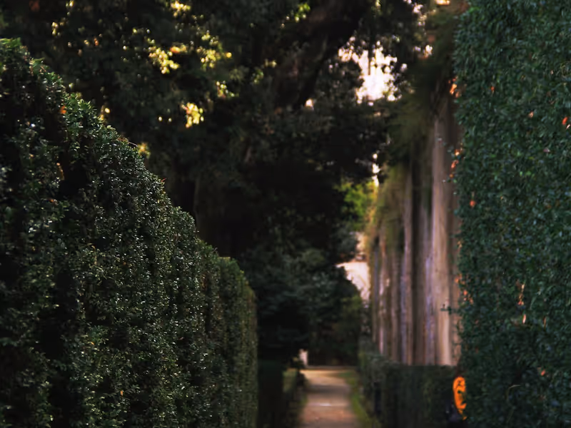 Allée de jardin avec haies parfaitement taillées